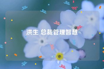 洪生 总裁管理智慧