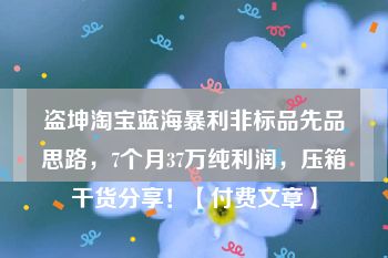 盗坤淘宝蓝海暴利非标品先品思路，7个月37万纯利润，压箱干货分享！【付费文章】