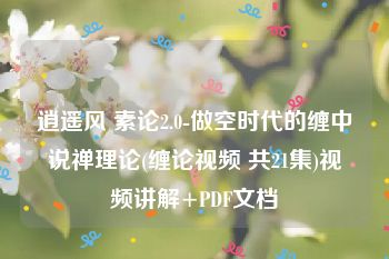 逍遥风 素论2.0-做空时代的缠中说禅理论(缠论视频 共21集)视频讲解+PDF文档