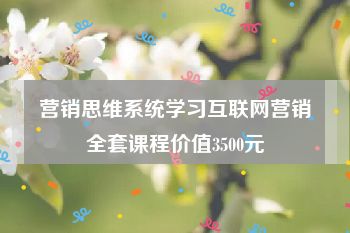营销思维系统学习互联网营销全套课程价值3500元