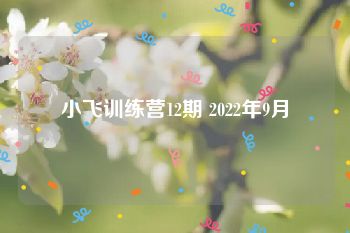 小飞训练营12期 2022年9月