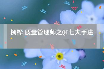 杨桦 质量管理师之QC七大手法