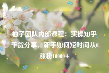 柚子团队内部课程：实操知乎干货分享，新手如何短时间从0涨粉10000+