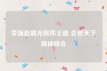 李强赵晨光房伟王超 企管天下领袖峰会