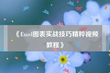 《Excel图表实战技巧精粹视频教程》