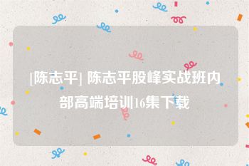 [陈志平] 陈志平股峰实战班内部高端培训16集下载