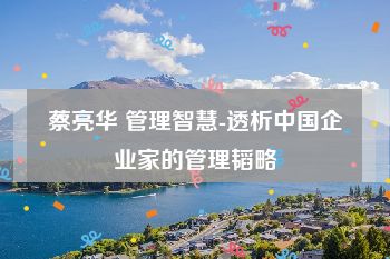 蔡亮华 管理智慧-透析中国企业家的管理韬略