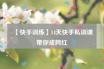 【快手训练】14天快手私训课带你成网红