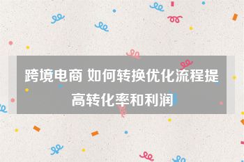 跨境电商 如何转换优化流程提高转化率和利润