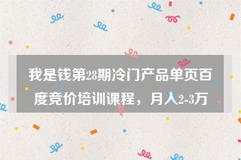 我是钱第28期冷门产品单页百度竞价培训课程，月入2-3万