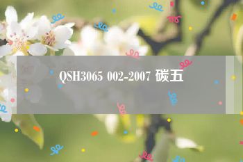 QSH3065 002-2007 碳五