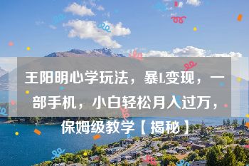王阳明心学玩法，暴L变现，一部手机，小白轻松月入过万，保姆级教学【揭秘】