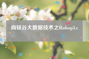 尚硅谷大数据技术之Hadoop3.x