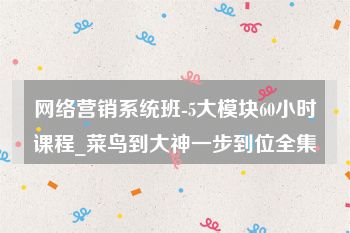 网络营销系统班-5大模块60小时课程_菜鸟到大神一步到位全集