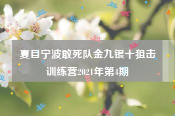 夏目宁波敢死队金九银十狙击训练营2021年第4期