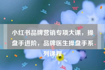 小红书品牌营销专项大课，操盘手进阶，品牌医生操盘手系列课程