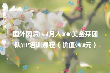 国外网赚lead月入3000美金某团队VIP培训课程（价值9980元）