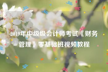 2019年中级级会计师考试《财务管理》零基础班视频教程