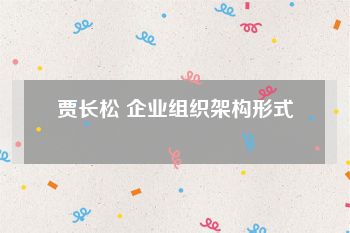 贾长松 企业组织架构形式