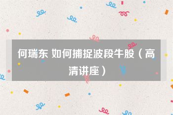 何瑞东 如何捕捉波段牛股（高清讲座）