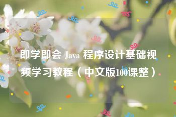 即学即会 Java 程序设计基础视频学习教程（中文版100课整）