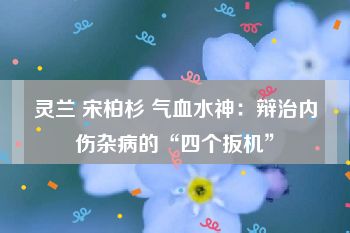 灵兰 宋柏杉 气血水神：辩治内伤杂病的“四个扳机”