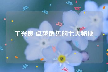 丁兴良 卓越销售的七大秘诀