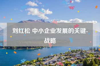 刘红松 中小企业发展的关键-战略