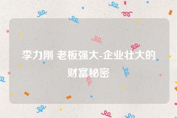 李力刚 老板强大-企业壮大的财富秘密