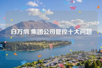 白万纲 集团公司管控十大问题