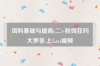 饵料基础与提高(二)-粉饵狂钓大罗非.上5.avi视频