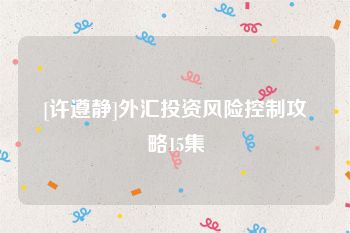 [许遵静]外汇投资风险控制攻略15集