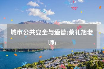 城市公共安全与道德(蔡礼旭老师)