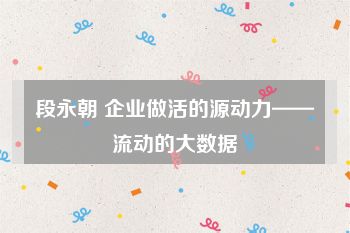 段永朝 企业做活的源动力——流动的大数据