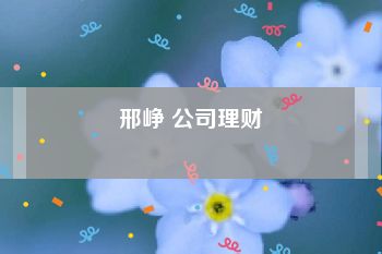 邢峥 公司理财