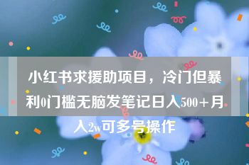 小红书求援助项目，冷门但暴利0门槛无脑发笔记日入500+月入2w可多号操作