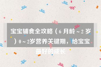 宝宝辅食全攻略（6 月龄～2 岁）0～2岁营养关键期，给宝宝最好的成长