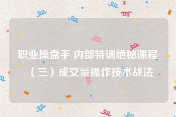 职业操盘手 内部特训绝秘课程（三）成交量操作技术战法