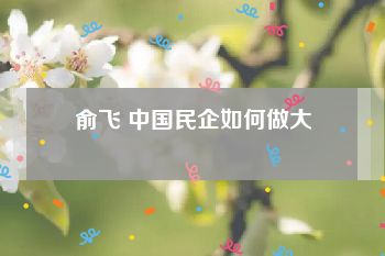 俞飞 中国民企如何做大