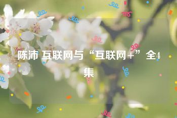 陈沛 互联网与“互联网+”全4集