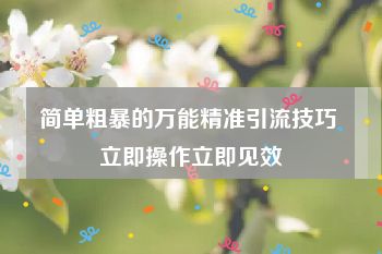 简单粗暴的万能精准引流技巧 立即操作立即见效