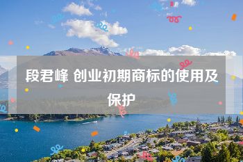 段君峰 创业初期商标的使用及保护