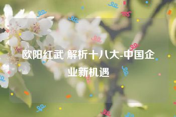 欧阳红武 解析十八大-中国企业新机遇