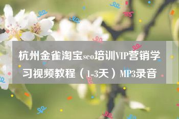 杭州金雀淘宝seo培训VIP营销学习视频教程（1-3天）MP3录音