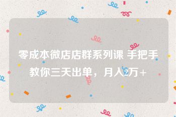 零成本微店店群系列课 手把手教你三天出单，月入2万+
