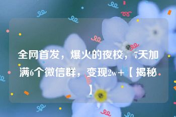 全网首发，爆火的夜校，7天加满6个微信群，变现2w+【揭秘】