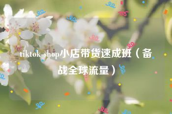 tiktok shop小店带货速成班（备战全球流量）