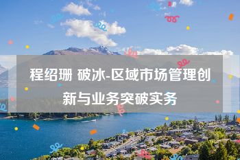 程绍珊 破冰-区域市场管理创新与业务突破实务