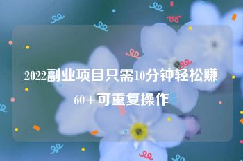 2022副业项目只需10分钟轻松赚60+可重复操作