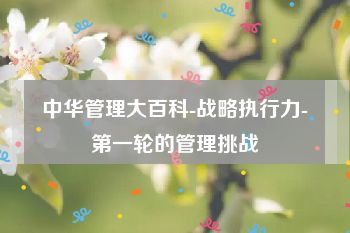 中华管理大百科-战略执行力-第一轮的管理挑战